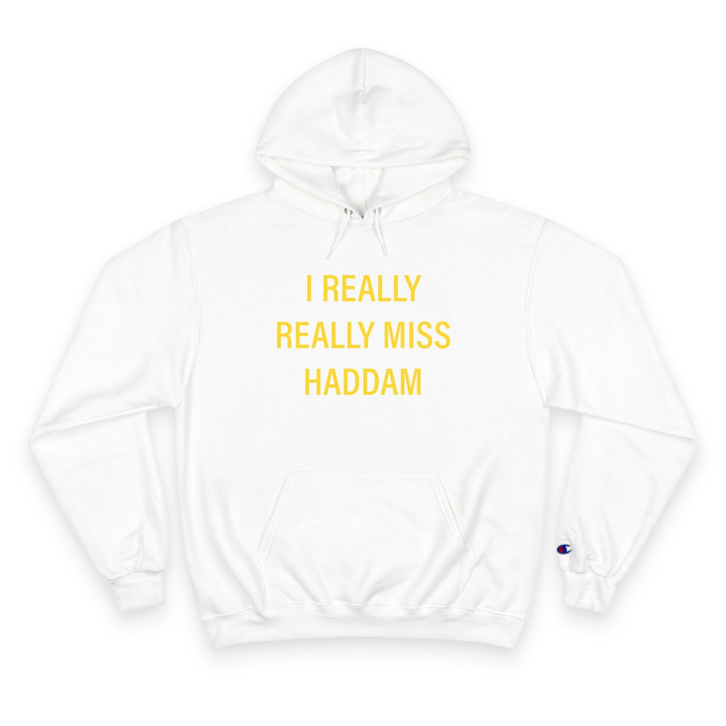 I Really Really Miss Haddam Champion Hoodie