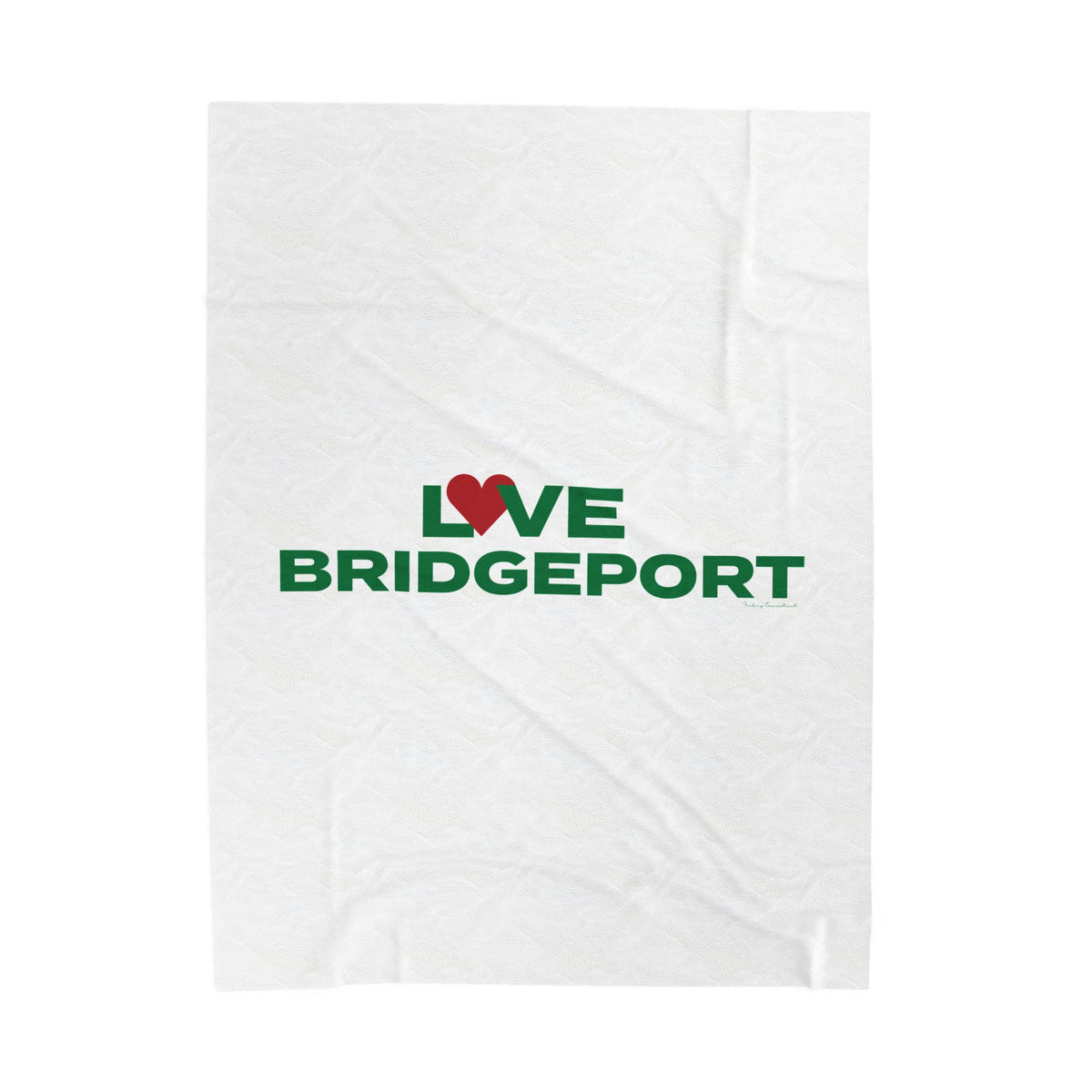Love Bridgeport Velveteen Plush Blanket