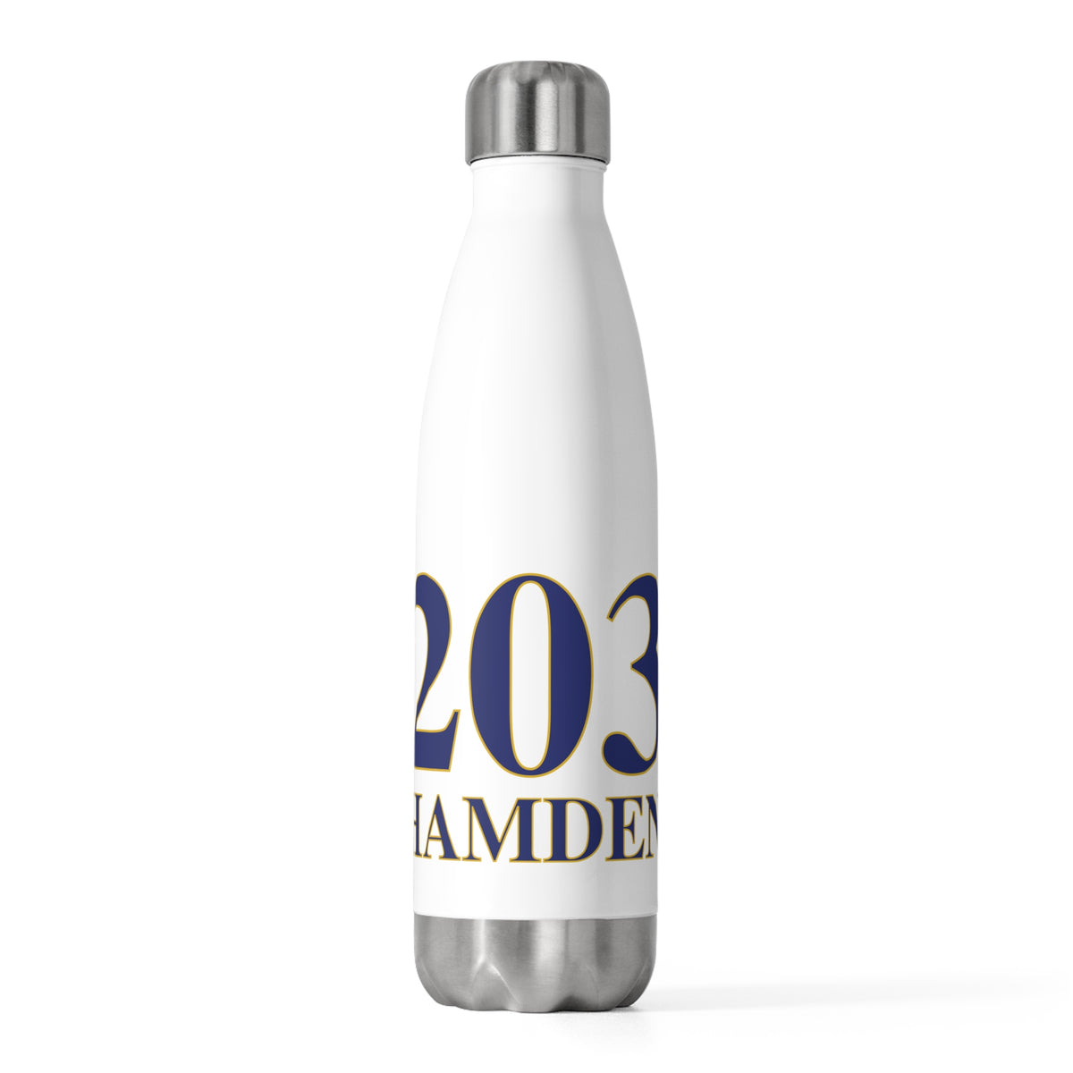 203 Hamden 20 oz Insulated Bottle