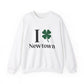 Newtown Connecticut sweatshirt