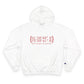 New Canaan Coordinates  Champion Hoodie
