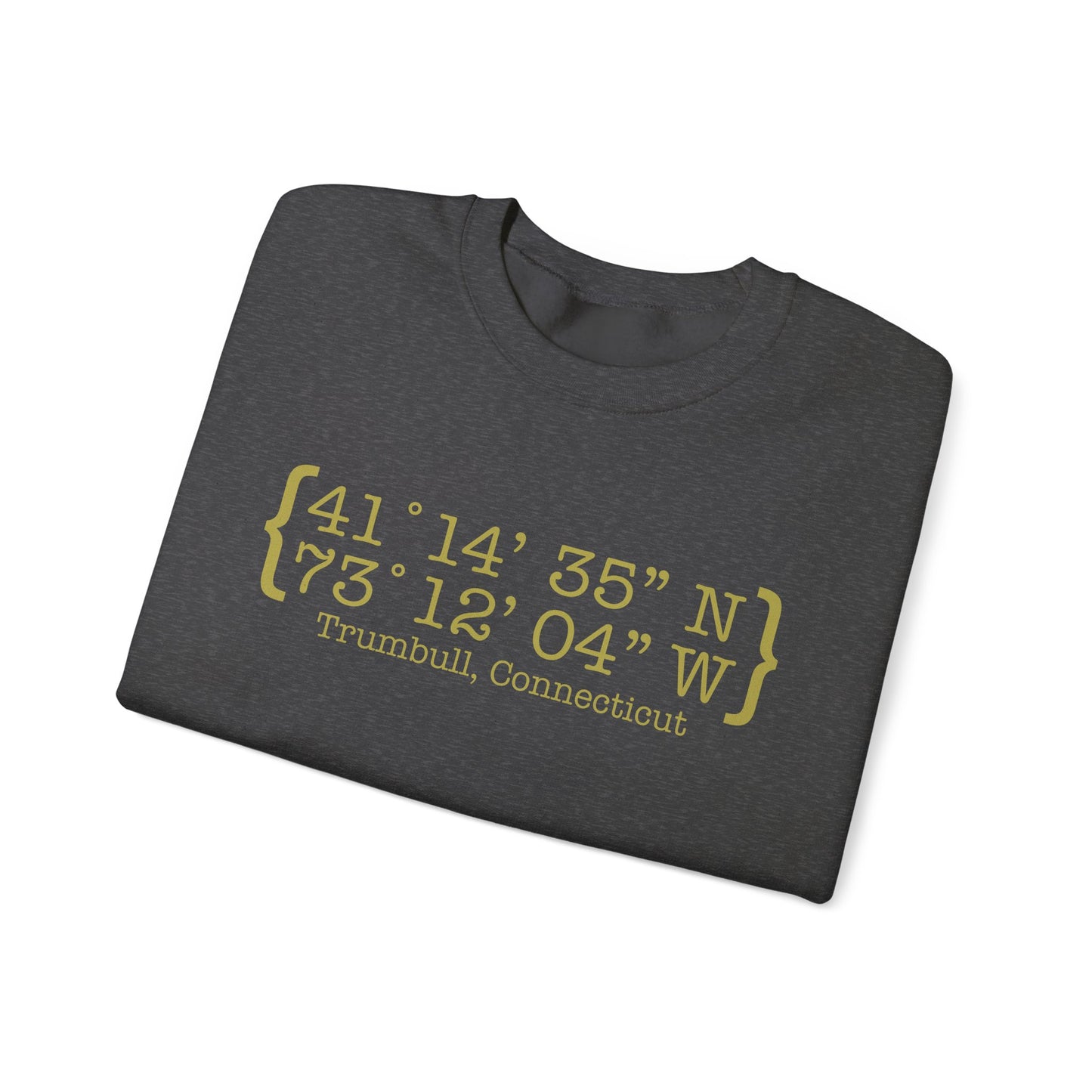Trumbull Coordinates Unisex Heavy Blend™ Crewneck Sweatshirt