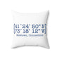 Newtown Coordinates Spun Polyester Square Pillow