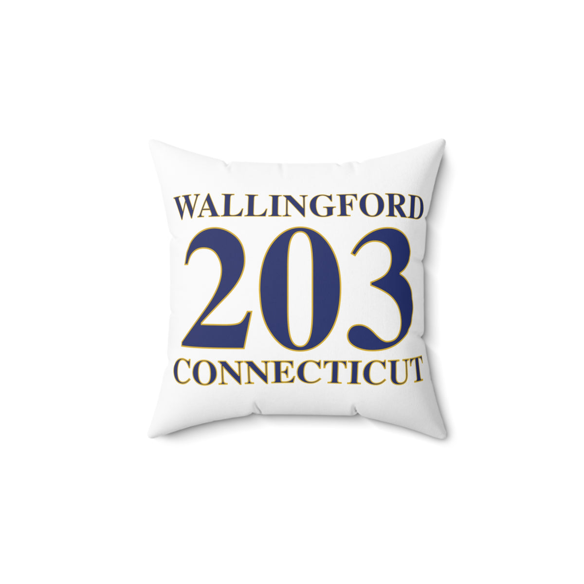 203 Wallingford Polyester Square Pillow