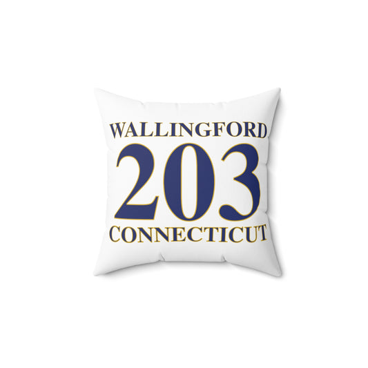 203 Wallingford Polyester Square Pillow