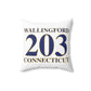 203 Wallingford Polyester Square Pillow