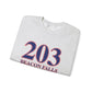 203 Beacon Falls Red White & Blue Unisex Heavy Blend™ Crewneck Sweatshirt