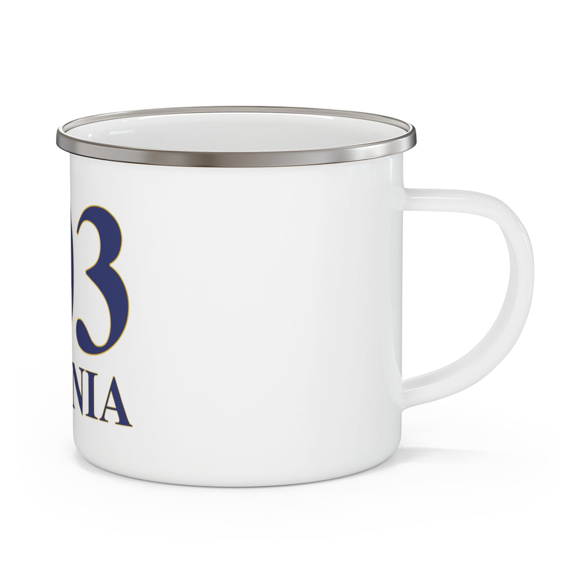 203 Ansonia Enamel Camping Mug