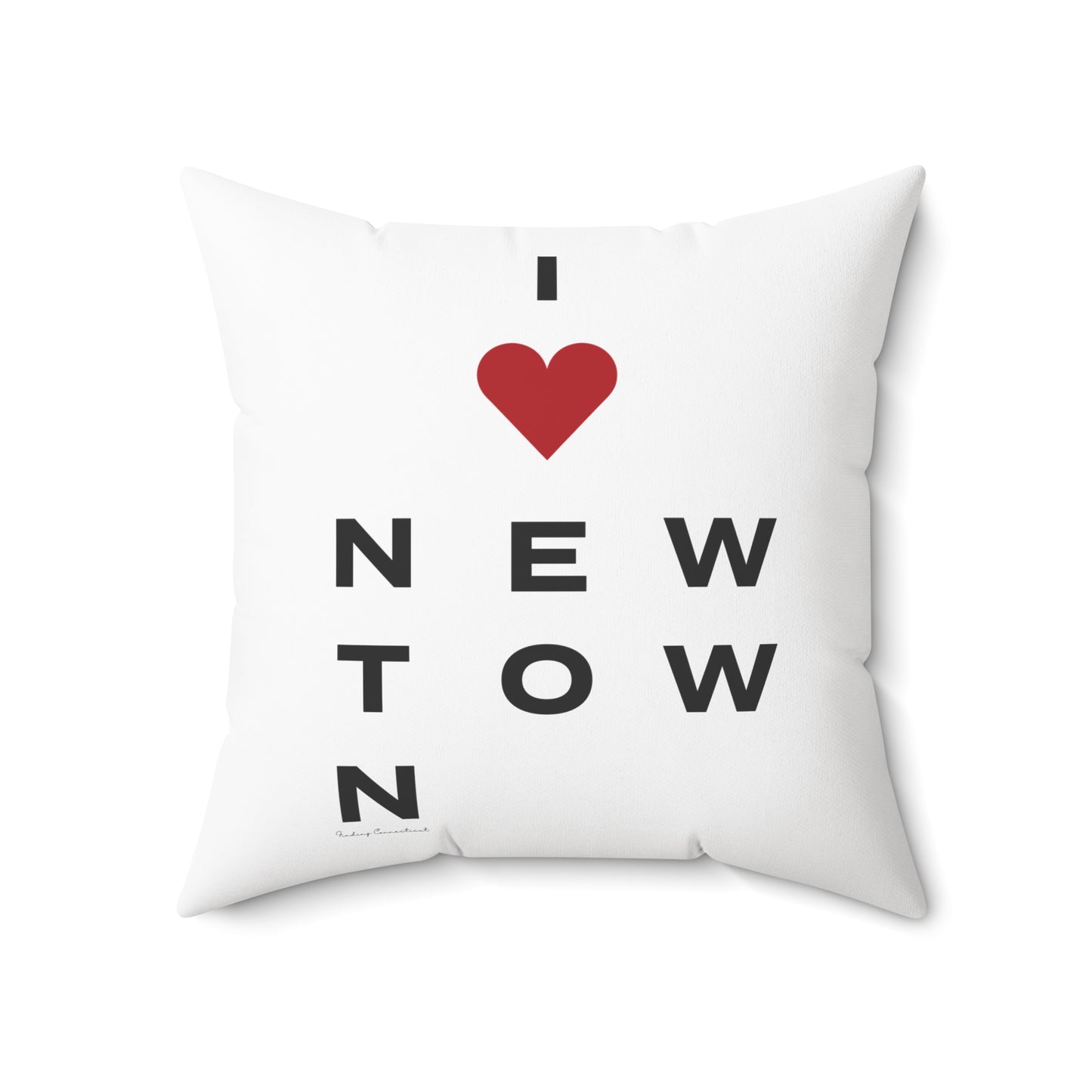 Newtown Vision Spun Polyester Square Pillow