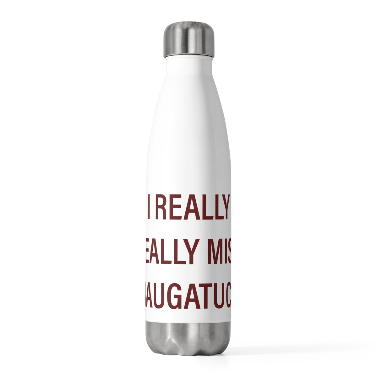 I Really Really Miss Naugatuck 20 oz Insulated Bottle