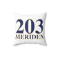 203 Meriden Polyester Square Pillow