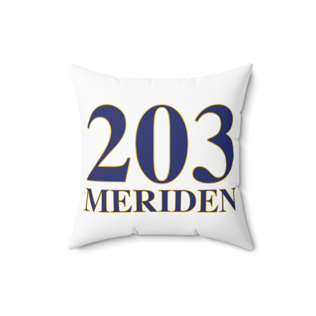 203 Meriden Polyester Square Pillow
