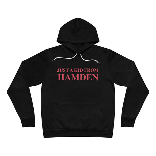 Just a kid from Hamden Unisex Sponge Fleece Pullover Hoodie