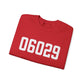 06029 Ellington CT Zip Code Unisex Heavy Blend™ Crewneck Sweatshirt