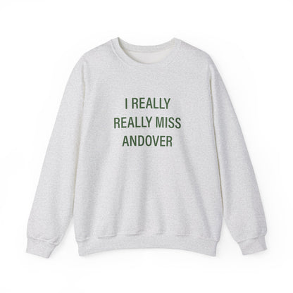 I Really Really Miss Andover Unisex Heavy Blend™ Crewneck Sweatshirt