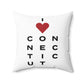 Connecticut Vision Spun Polyester Square Pillow