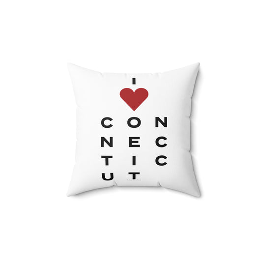 Connecticut Vision Spun Polyester Square Pillow