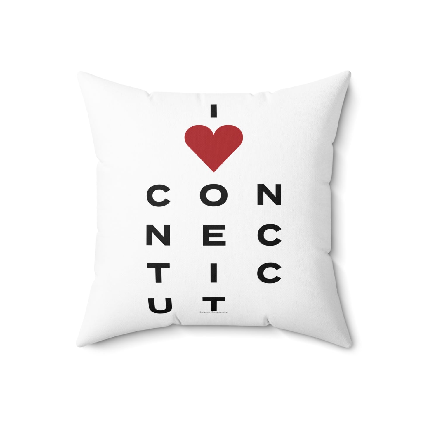 Connecticut Vision Spun Polyester Square Pillow