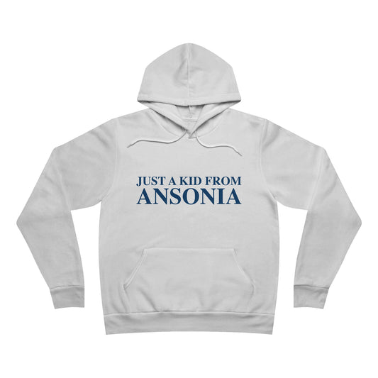 Just a kid from Ansonia Unisex Sponge Fleece Pullover Hoodie