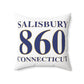 Salisbury 860 Connecticut Polyester Square Pillow