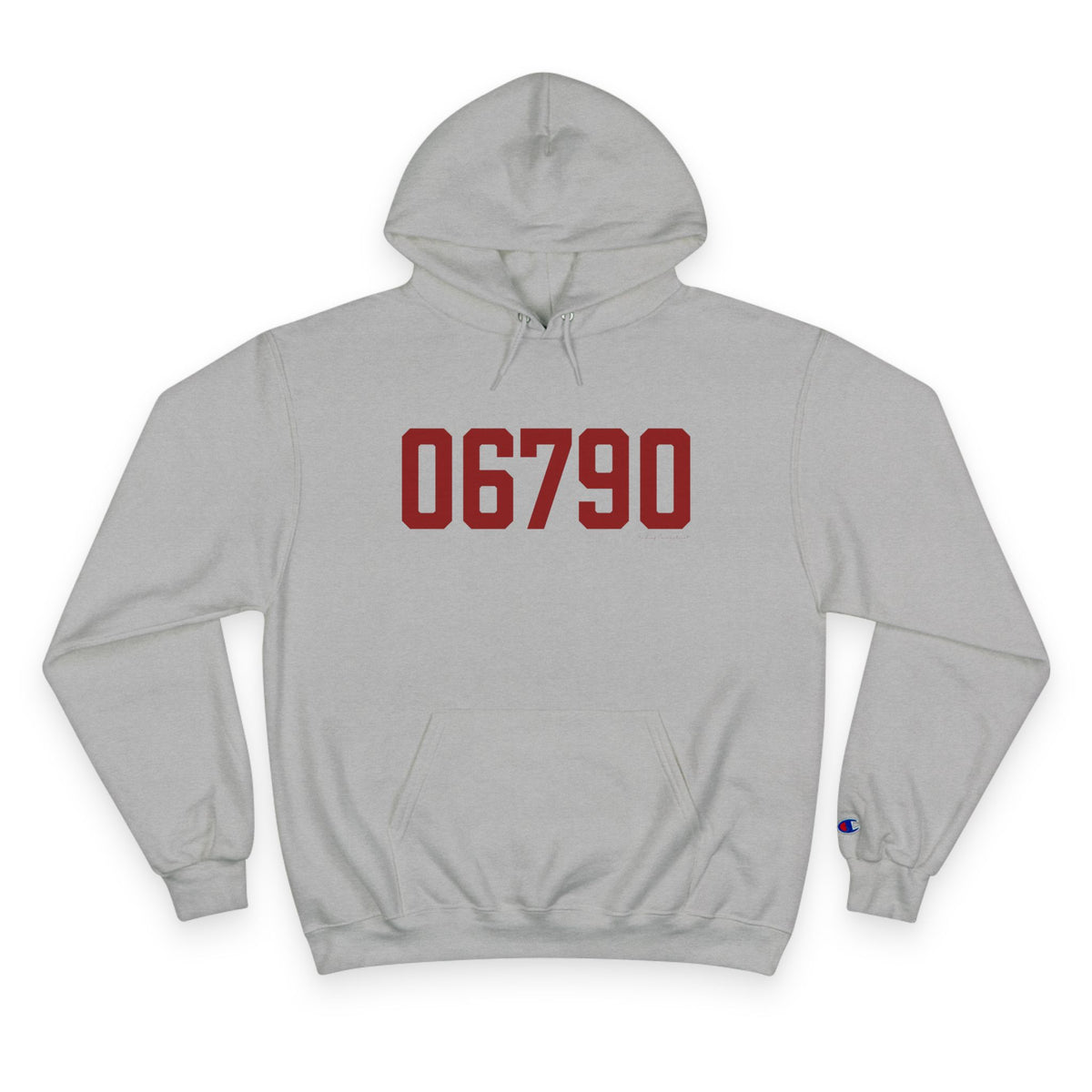06790 Torrington Connecticut Zip Code Champion Hoodie