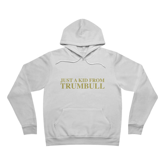 Just a kid from Trumbull  Unisex Sponge Fleece Pullover Hoodie