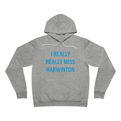 I Really Really Miss Harwinton Unisex Sponge Fleece Pullover Hoodie