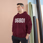 06801 Bethel CT Zip Code Champion Hoodie