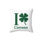 I Clover Canaan Spun Polyester Square Pillow