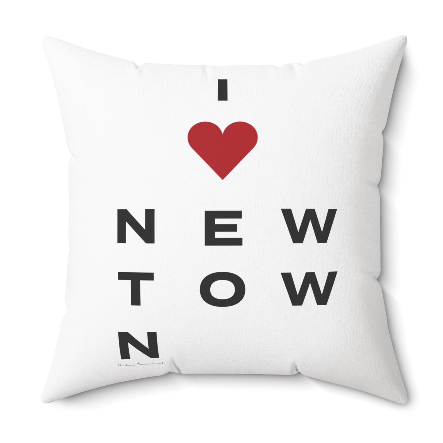 Newtown Vision Spun Polyester Square Pillow