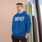 06417 Deep River CT Zip Code Champion Hoodie