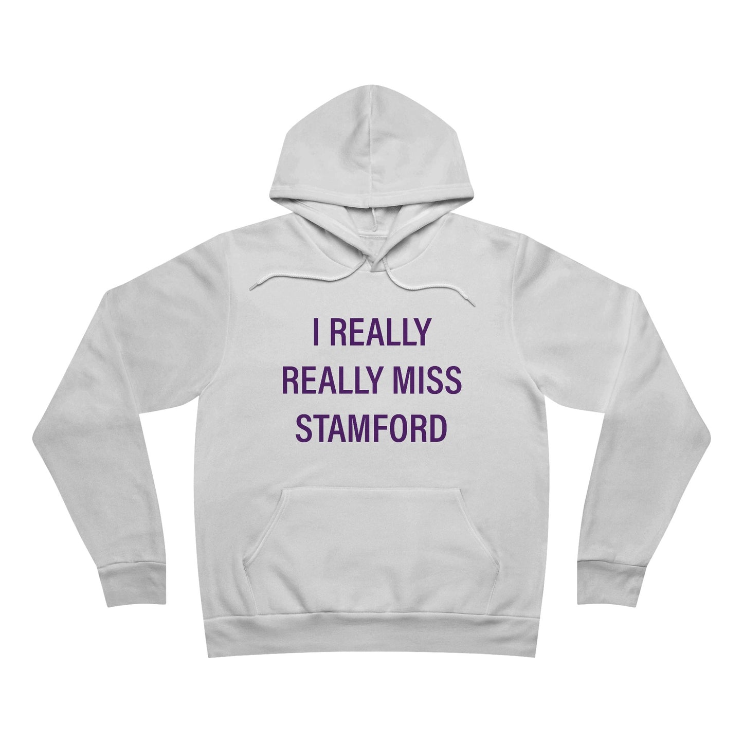 I Really Really Miss Stamford Unisex Sponge Fleece Pullover Hoodie