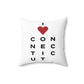 Connecticut Vision Spun Polyester Square Pillow