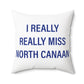 I Really Really Miss North Canaan Polyester Square Pillow