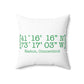 Easton Coordinates Spun Polyester Square Pillow