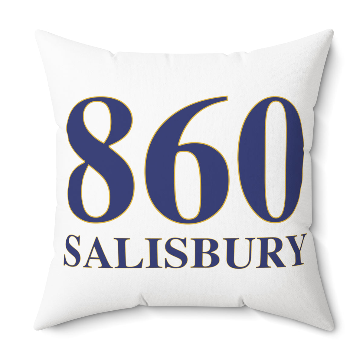 860 Salisbury Polyester Square Pillow