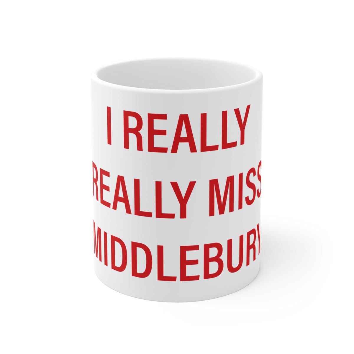 I Really Really Miss Middlebury Mug 11oz