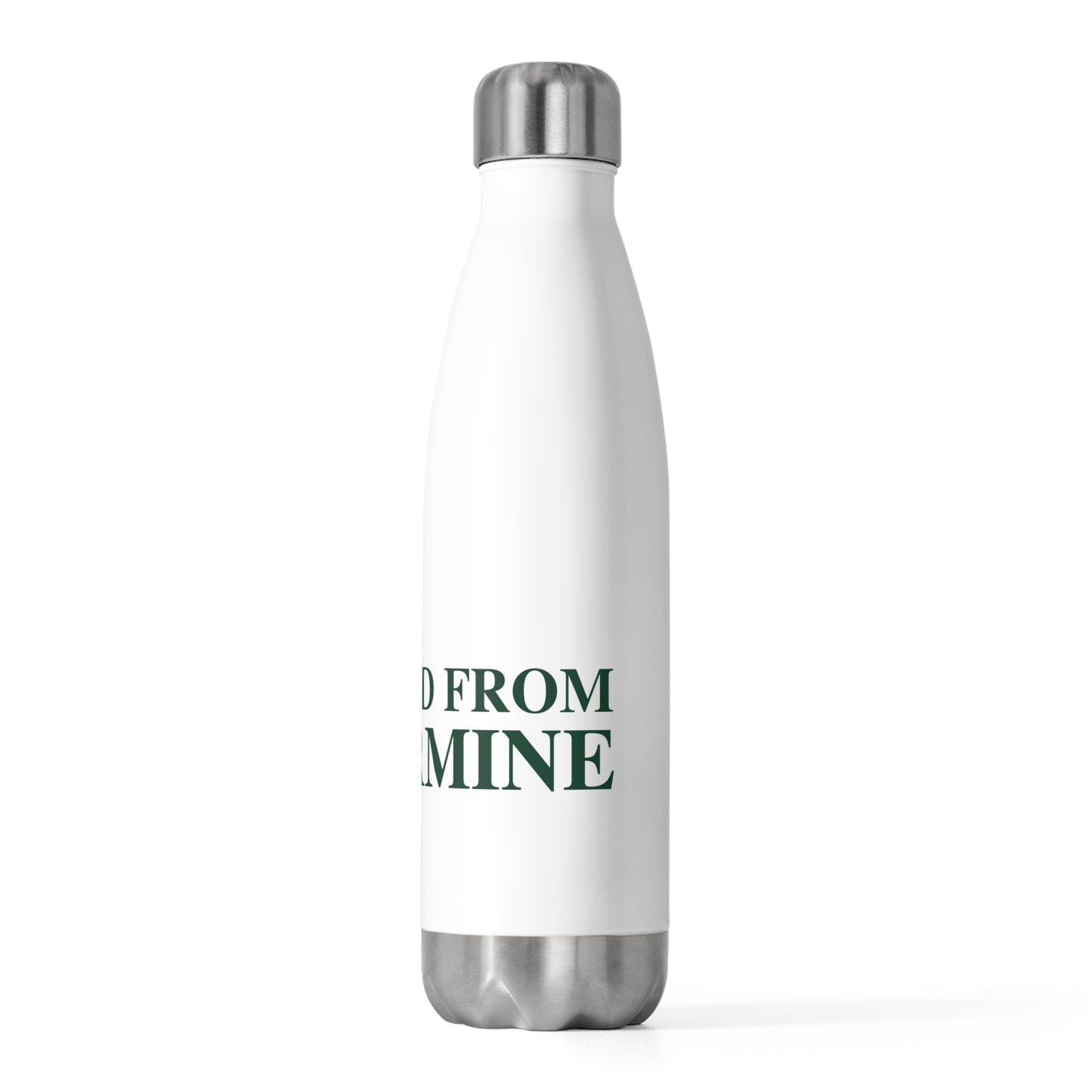 I Really Really Miss Silvermine 20oz Insulated Bottle