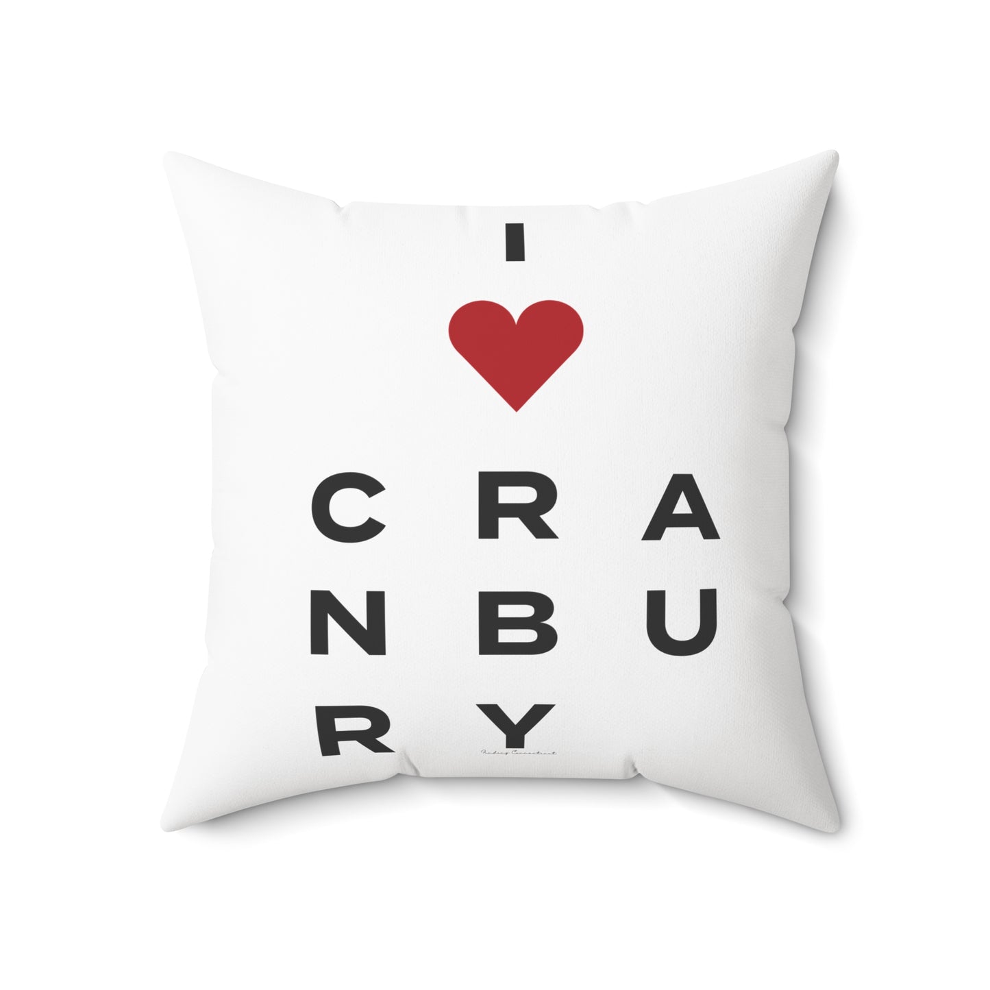 Cranbury Vision Spun Polyester Square Pillow
