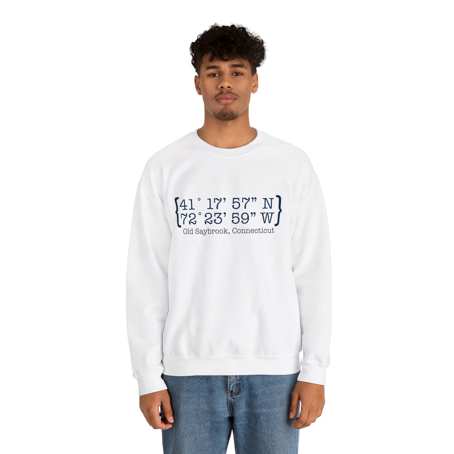 Old Saybrook Coordinates Unisex Heavy Blend™ Crewneck Sweatshirt (blue)