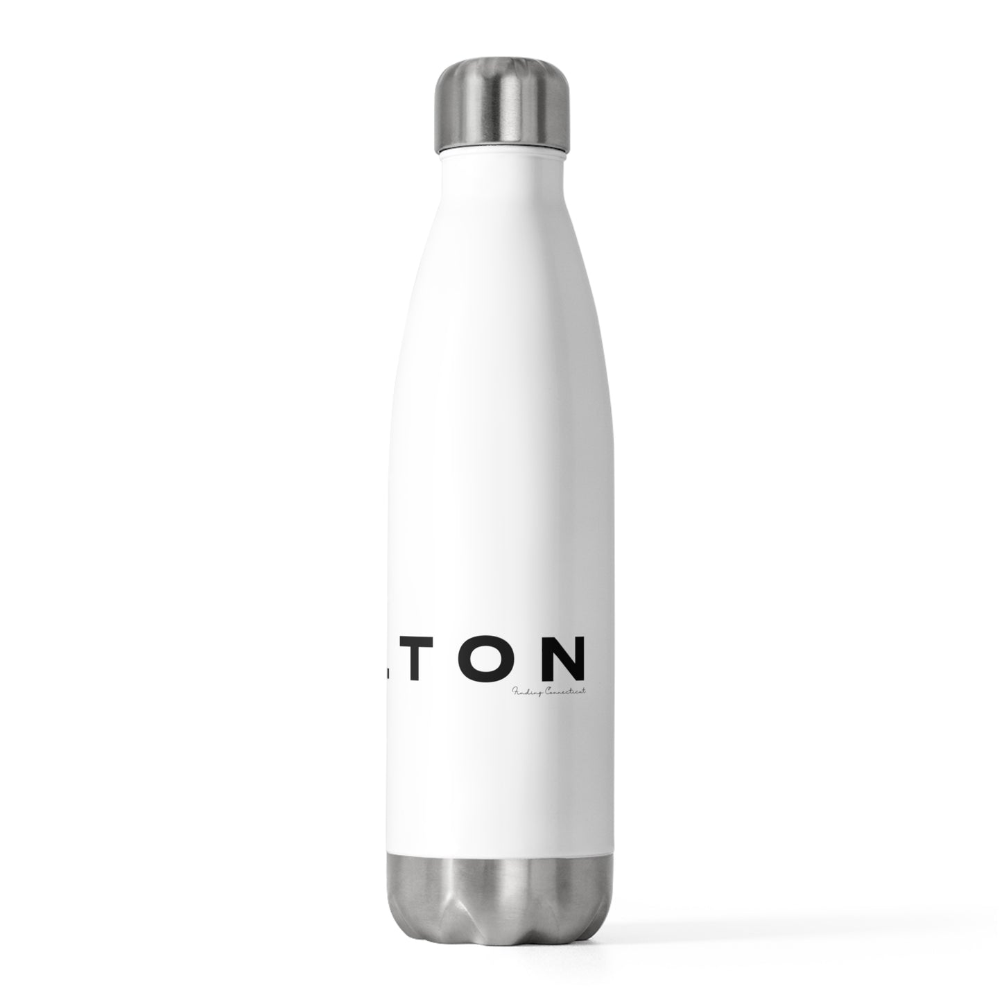 Wilton Vision 20oz Insulated Bottle