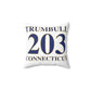 Trumbull 203 Connecticut Spun Polyester Square Pillow