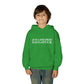 Just a kid from Saugatuck Youth Heavy Blend Hooded Sweatshirt