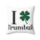 I Clover Trumbull Spun Polyester Square Pillow