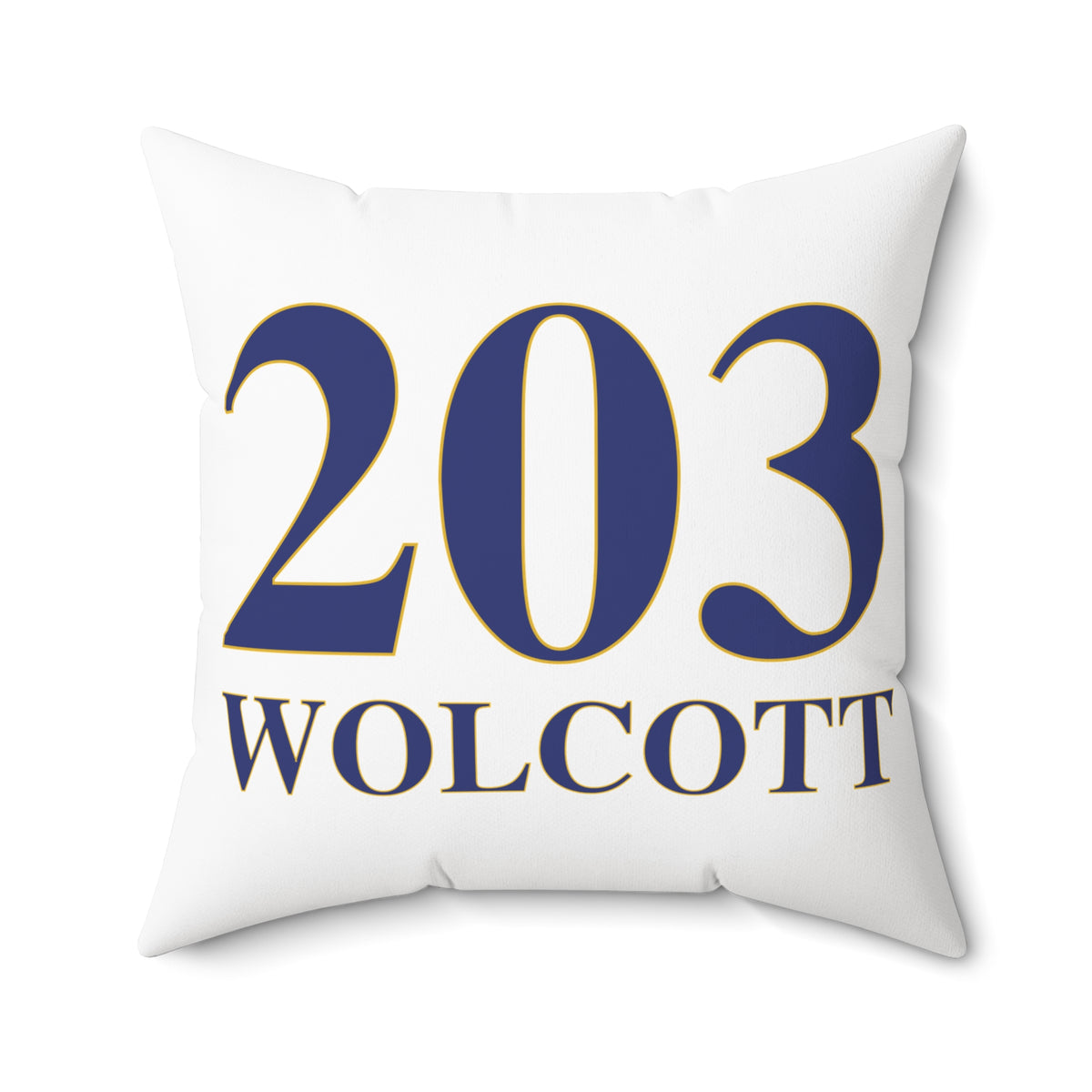 203 Wolcott Polyester Square Pillow