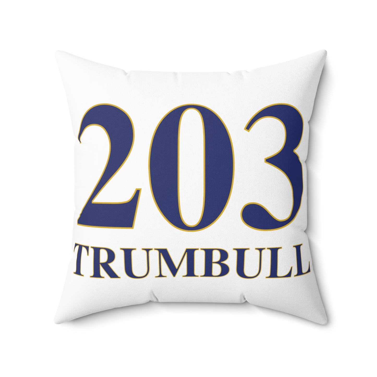 203 Trumbull Spun Polyester Square Pillow