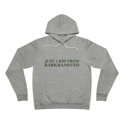 Just a kid from Barkhamsted Unisex Sponge Fleece Pullover Hoodie
