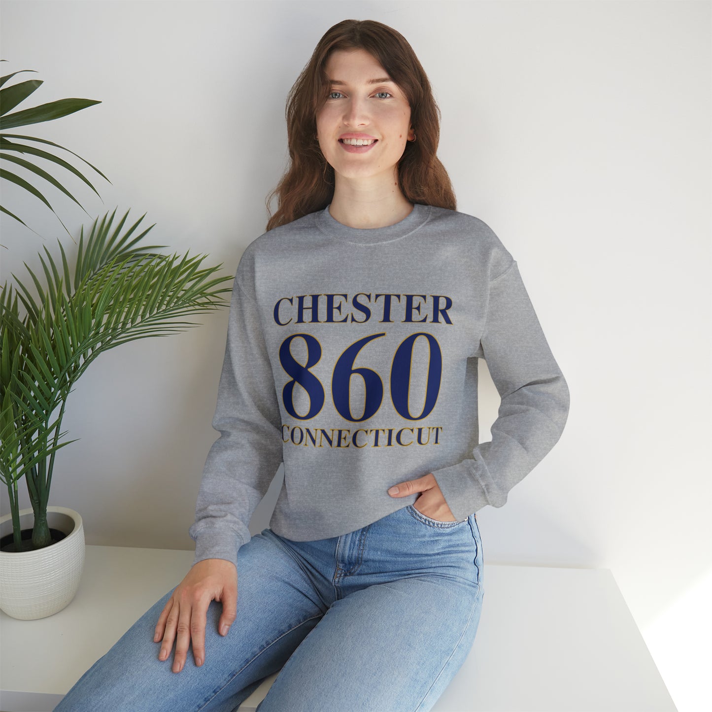 Chester 860 Connecticut Unisex Heavy Blend™ Crewneck Sweatshirt