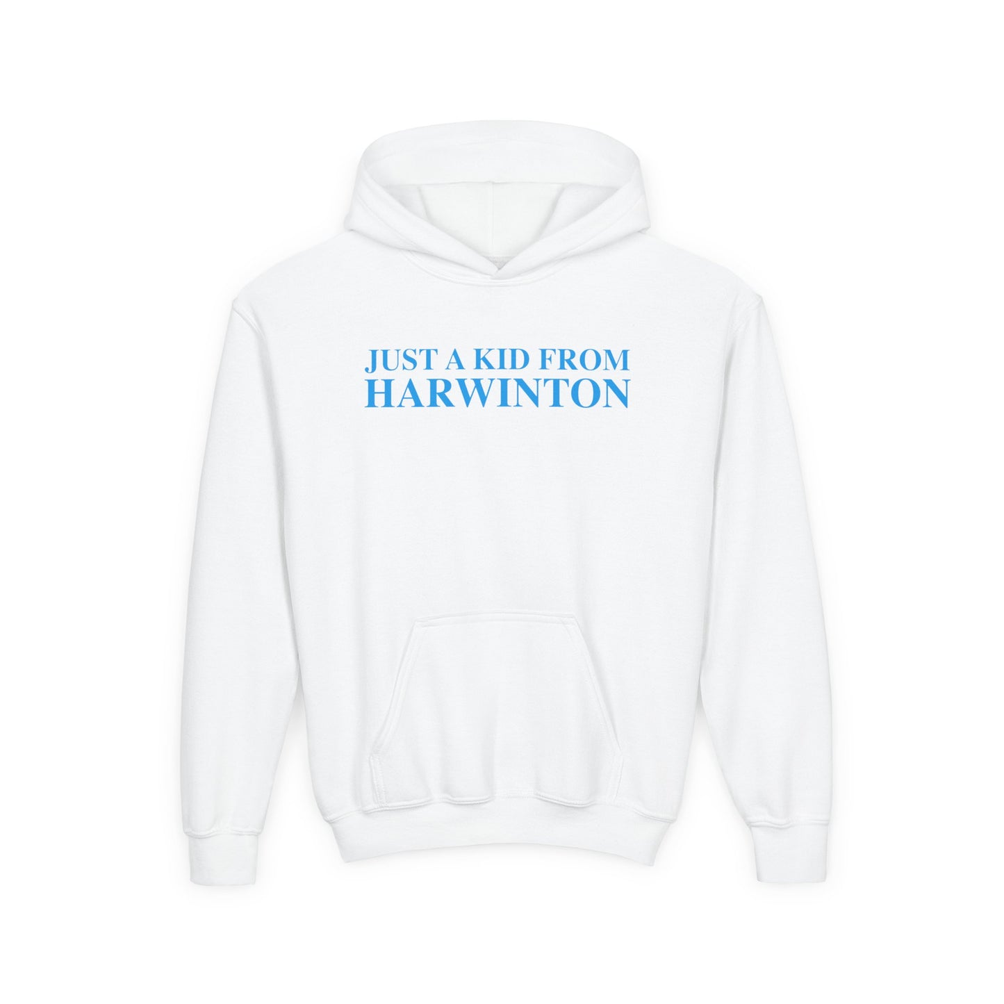 Just a kid from Harwinton Youth Heavy Blend Hooded Sweatshirt