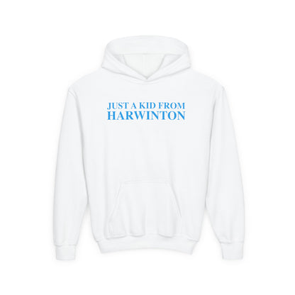 Just a kid from Harwinton Youth Heavy Blend Hooded Sweatshirt